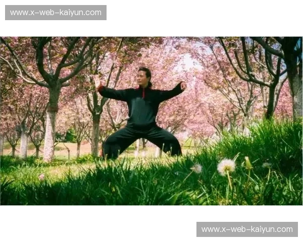 刚柔并济：巴西柔术与太极的巅峰对话，一场身体的哲学